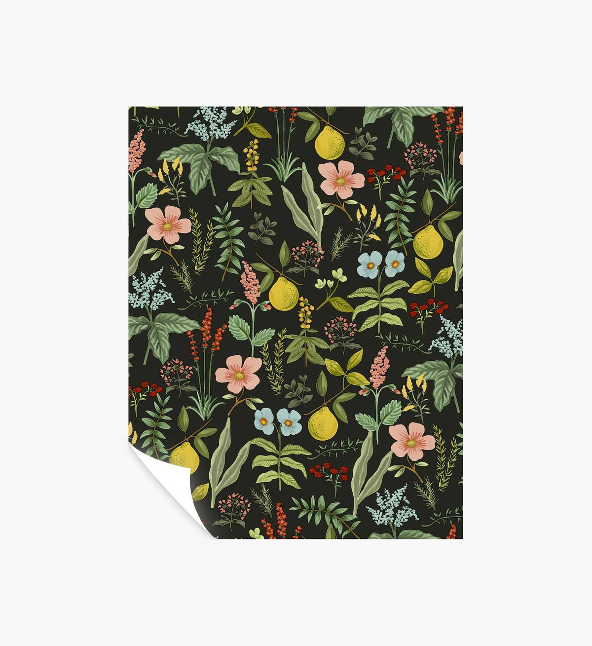 Tracy & Co Herb Garden Peel & Stick Wallpaper Sample - Black
