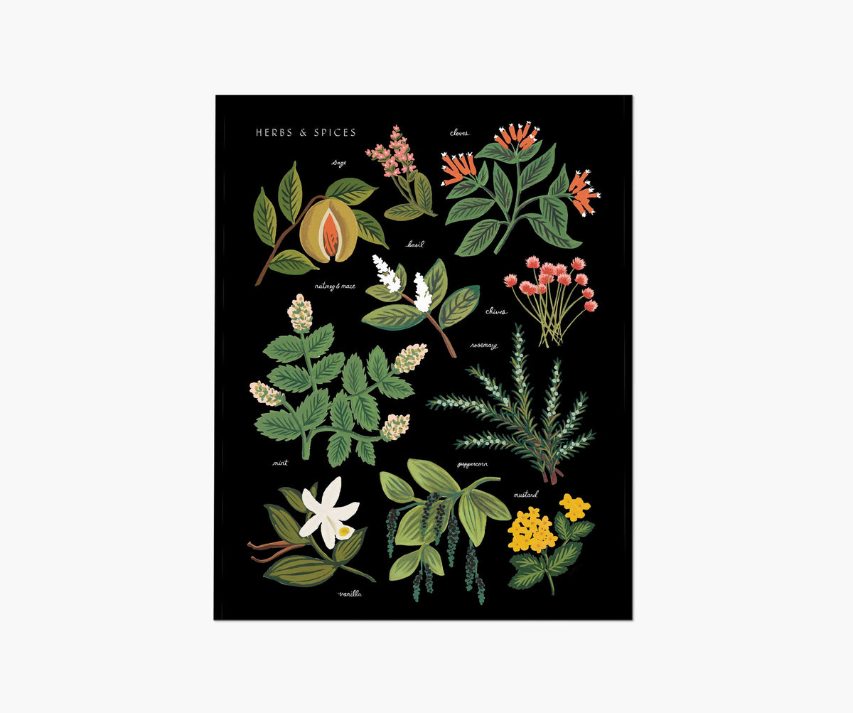 Tracy & Co Herbs & Spices Charcoal Art Print