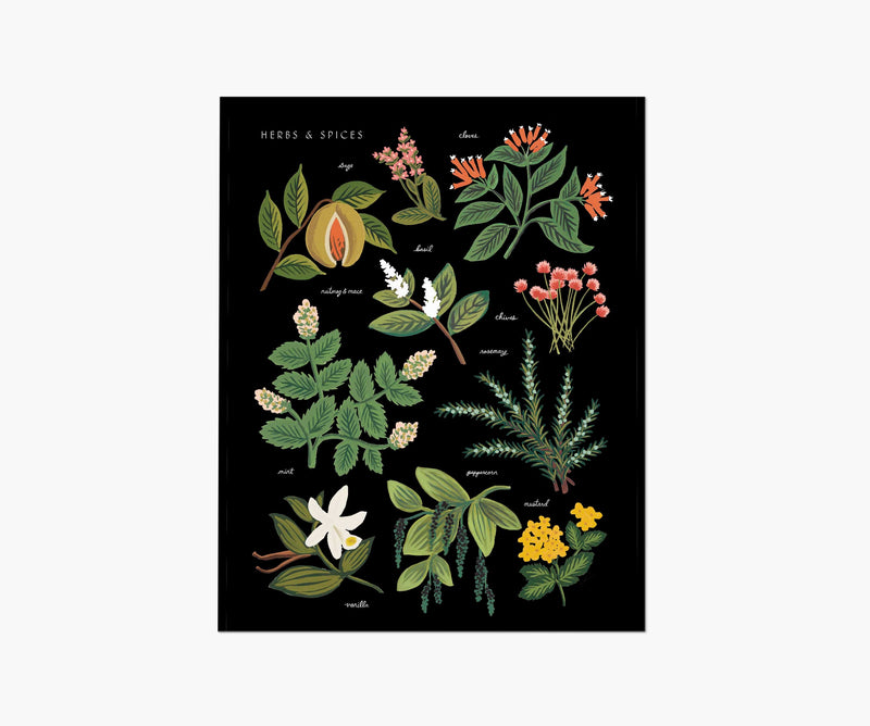 Tracy & Co Herbs & Spices Charcoal Art Print