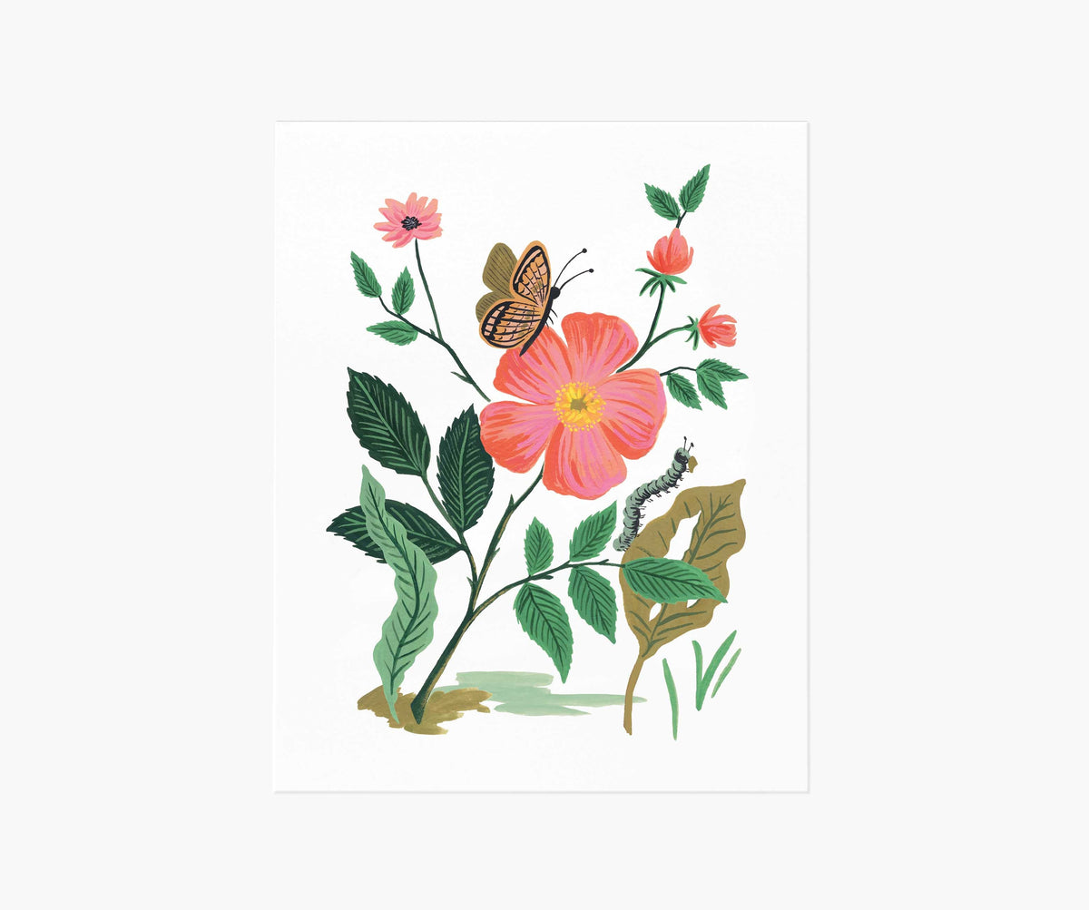 Tracy & Co Garden Rose Art Print