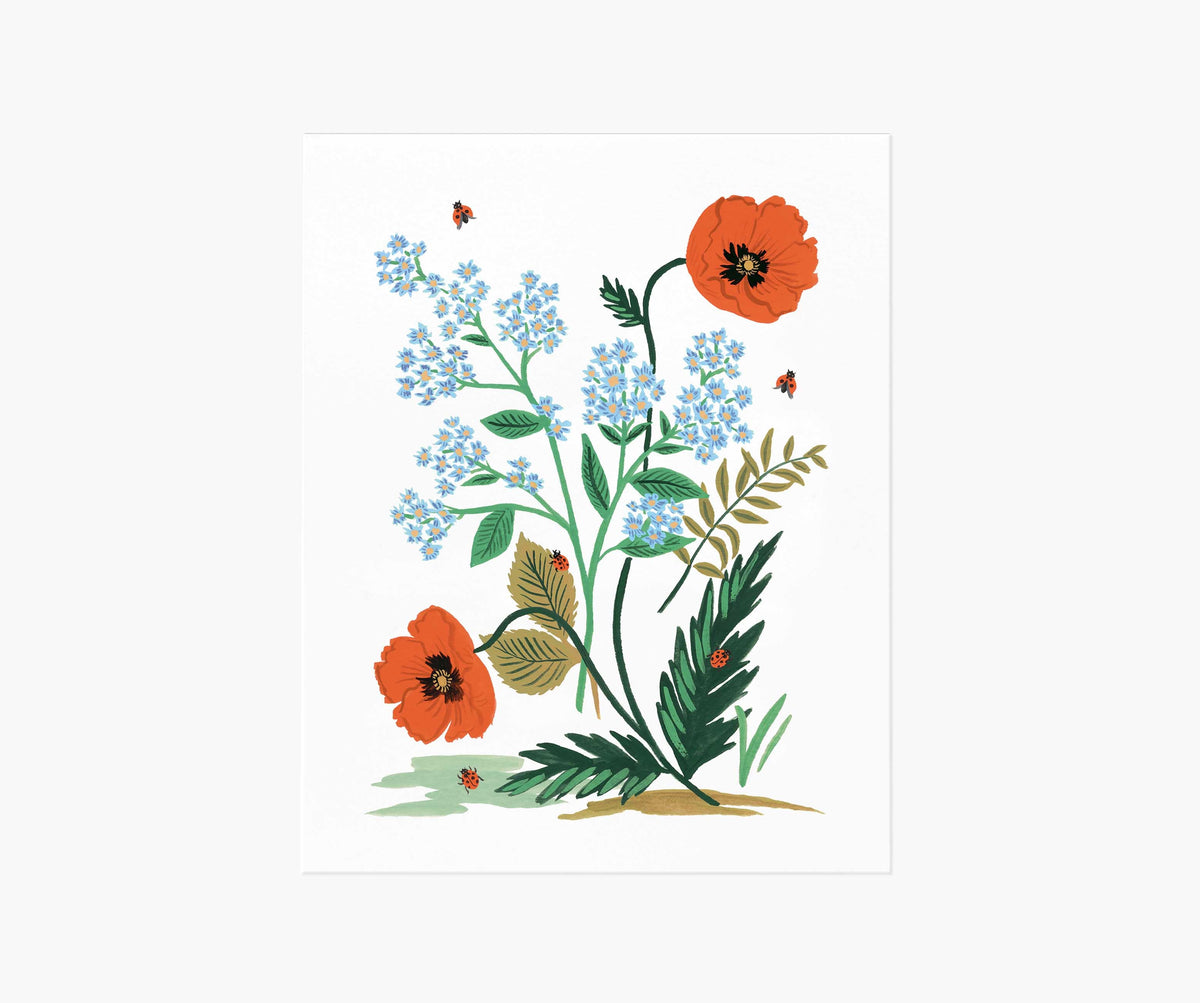 Tracy & Co Iceland Poppy Art Print