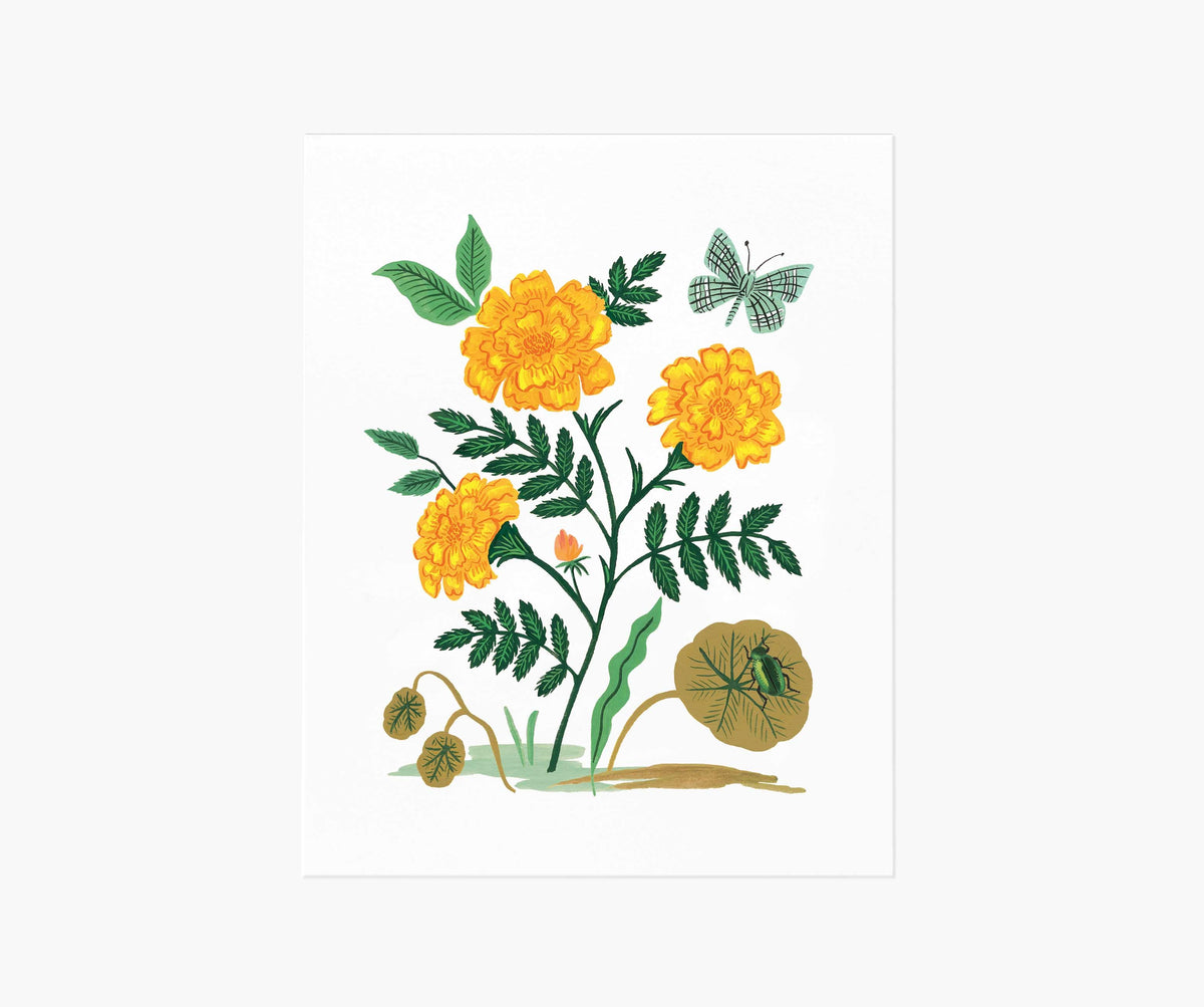 Tracy & Co French Marigold Art Print