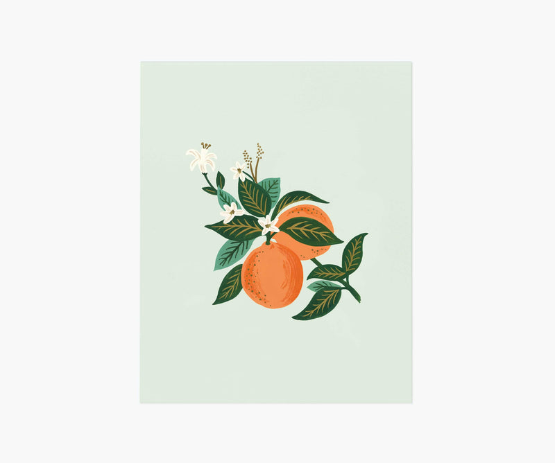 Tracy & Co Orange Blossom Art Print