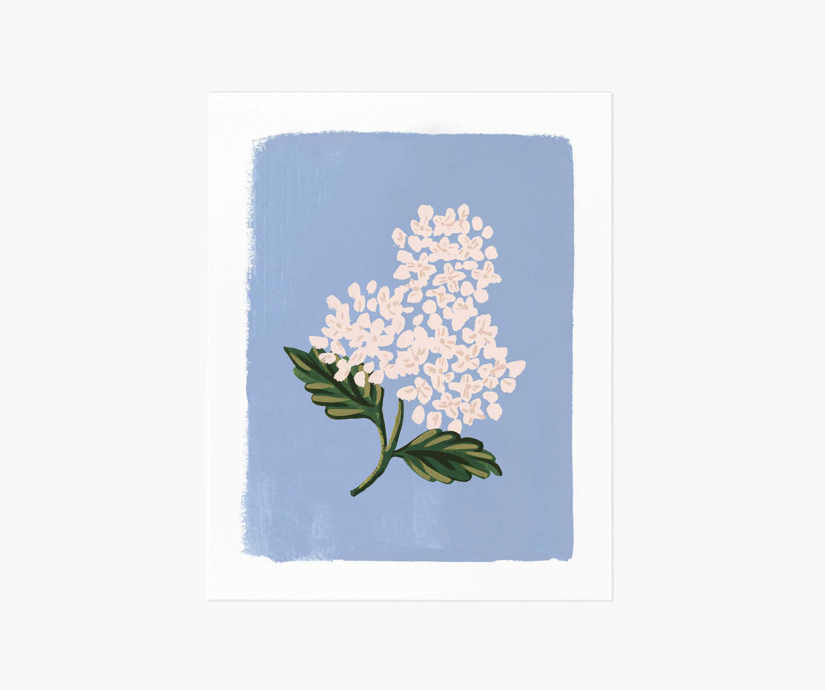 Tracy & Co Hydrangea Bloom Blue Art Print