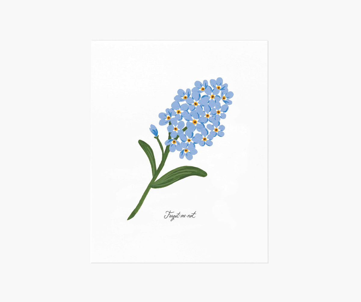 Tracy & Co Forget-Me-Not Art Print
