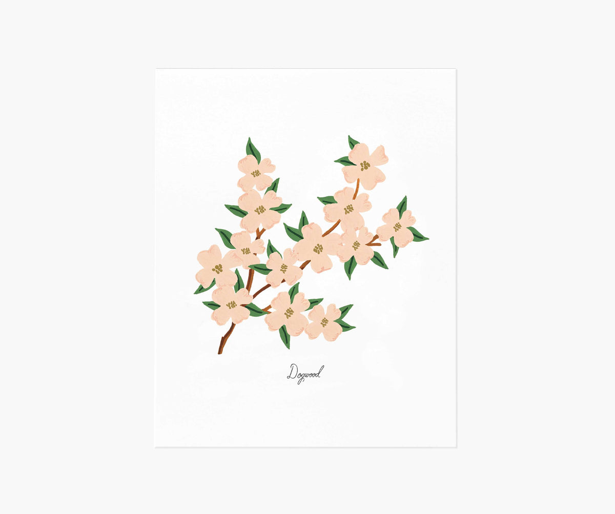 Tracy & Co Dogwood Art Print
