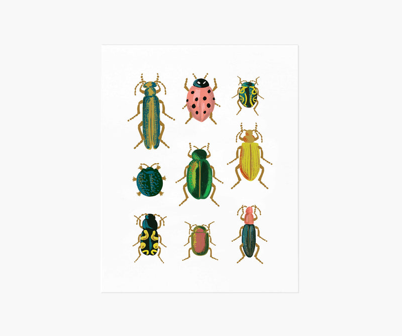 Tracy & Co Curio Art Print