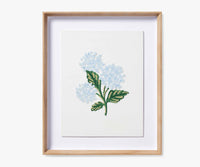 Tracy & Co Framed Wall Art - Hydrangea Cream