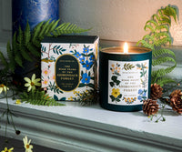 Tracy & Co 9.5 oz Candle - High Peaks of the Adirondack Forest