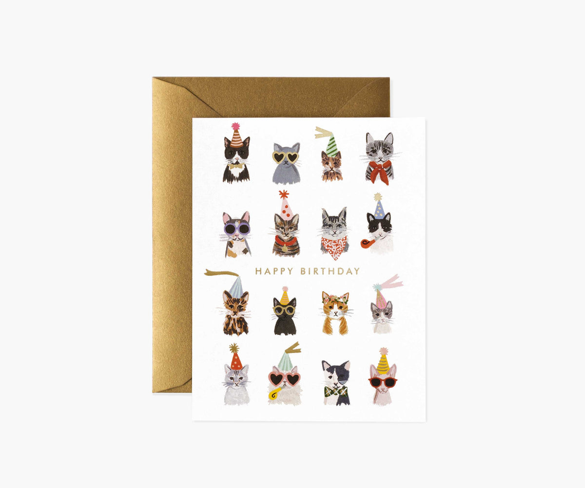 Tracy & Co Cool Cats Birthday Cards - Boxed Set
