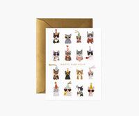 Tracy & Co Cool Cats Birthday Cards - Boxed Set