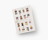 Tracy & Co Cool Cats Birthday Cards - Boxed Set