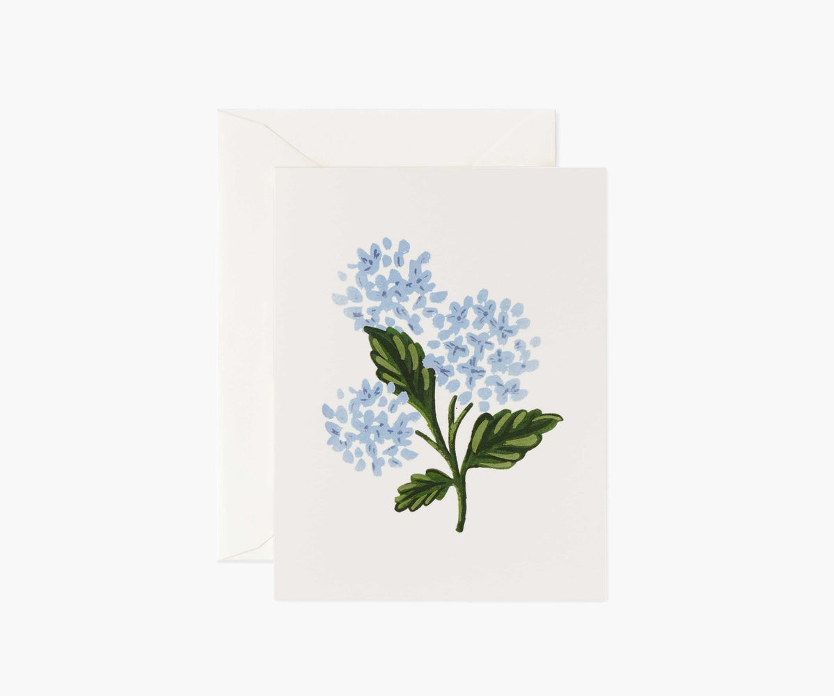 Tracy & Co Hydrangea Bloom Everyday Card - Single Card
