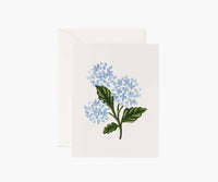 Tracy & Co Hydrangea Bloom Everyday Card - Single Card