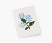Tracy & Co Hydrangea Bloom Everyday Card - Single Card