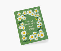 Tracy & Co Daisies Thankful for You Thank You Card - Single Card