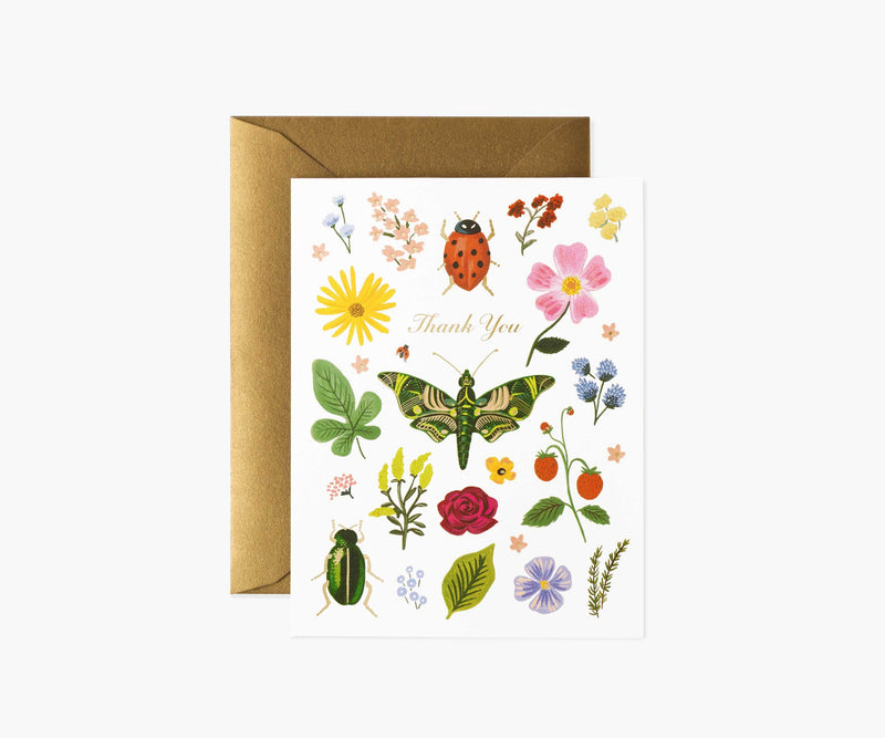 Tracy & Co Curio Thank You Cards - Boxed Set