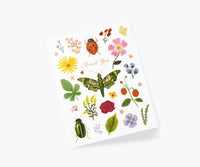 Tracy & Co Curio Thank You Card - Single Card