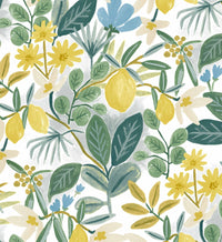 Tracy & Co Amalfi Peel & Stick Wallpaper - Blue & Green