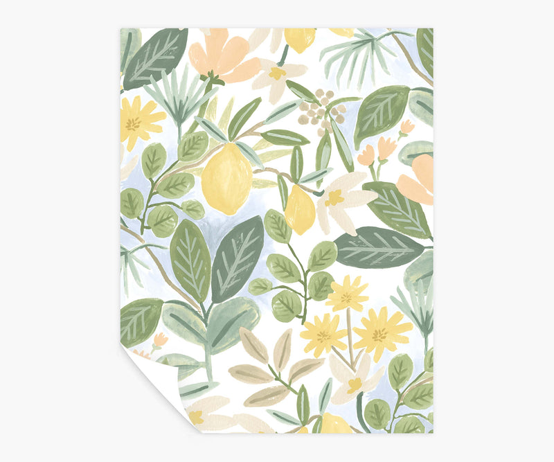 Tracy & Co Amalfi Peel & Stick Wallpaper Sample - Blush & Green