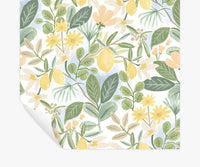 Tracy & Co Amalfi Peel & Stick Wallpaper - Blush & Green