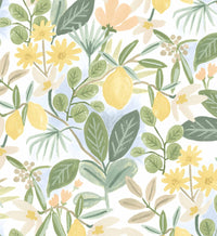 Tracy & Co Amalfi Peel & Stick Wallpaper - Blush & Green