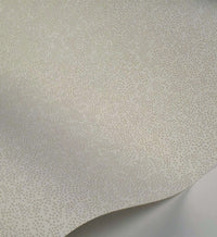 Tracy & Co Champagne Dots Wallpaper - Linen & White