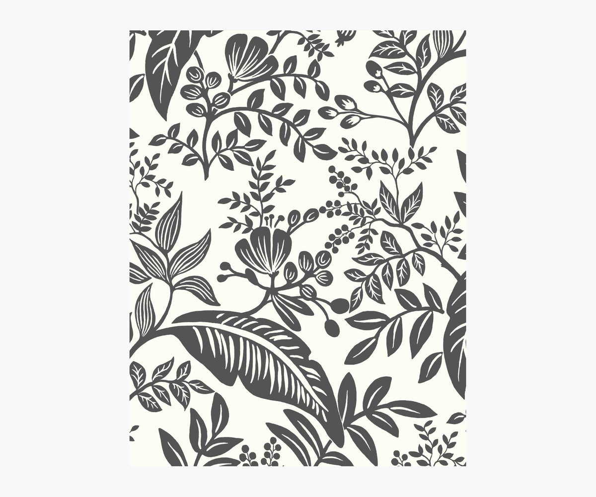 Tracy & Co Canopy Wallpaper Sample - Black & White