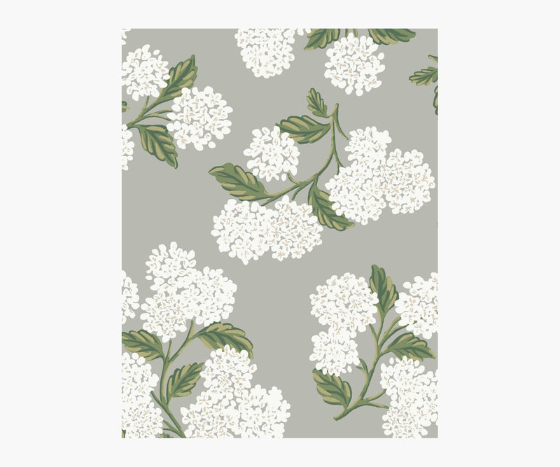 Tracy & Co Hydrangea Wallpaper Sample - Grey
