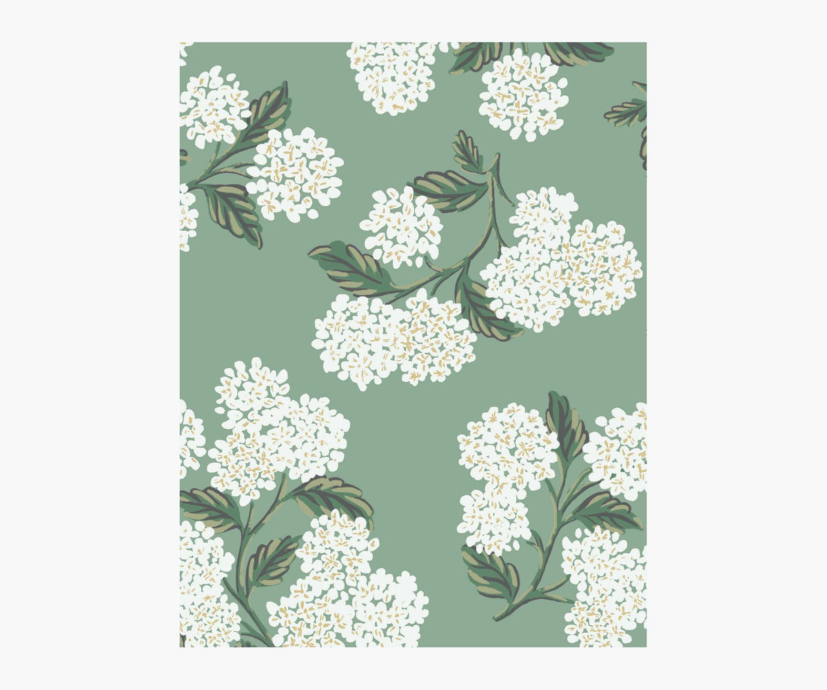 Tracy & Co Hydrangea Wallpaper Sample - Jade
