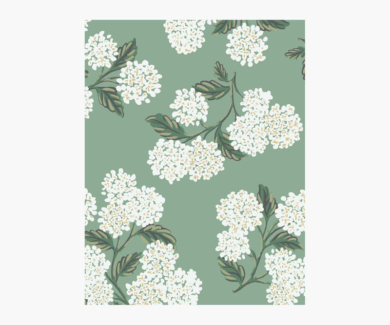Tracy & Co Hydrangea Wallpaper Sample - Jade