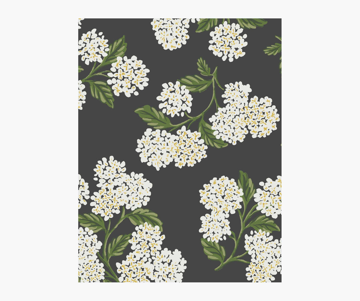 Tracy & Co Hydrangea Wallpaper Sample - Black & White