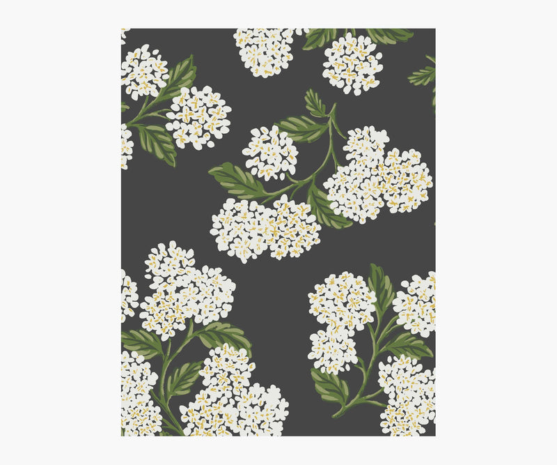 Tracy & Co Hydrangea Wallpaper Sample - Black & White