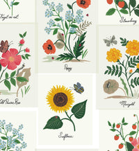 Tracy & Co Botanical Prints Wallpaper - White