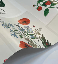 Tracy & Co Botanical Prints Wallpaper - White