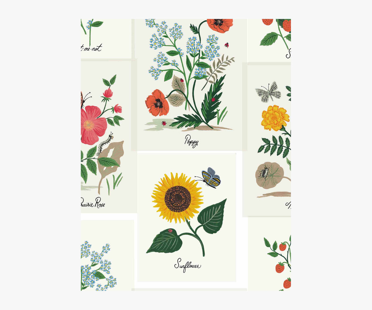 Tracy & Co Botanical Prints Wallpaper Sample - White