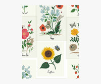 Tracy & Co Botanical Prints Wallpaper Sample - White