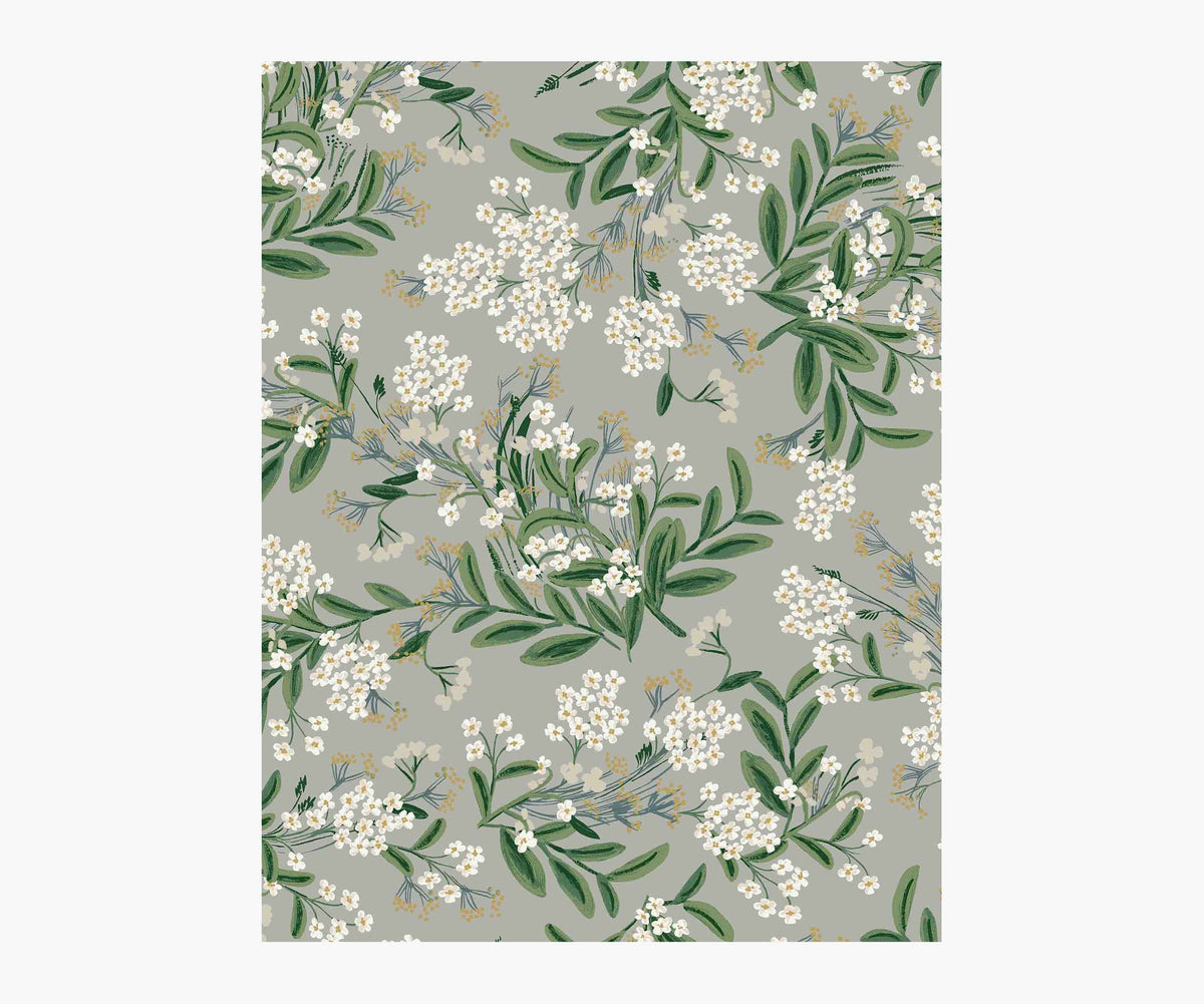 Tracy & Co Cornflower Wallpaper Sample - Grey