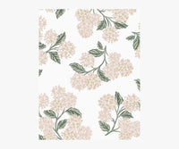 Tracy & Co Hydrangea Wallpaper Sample - White & Blush