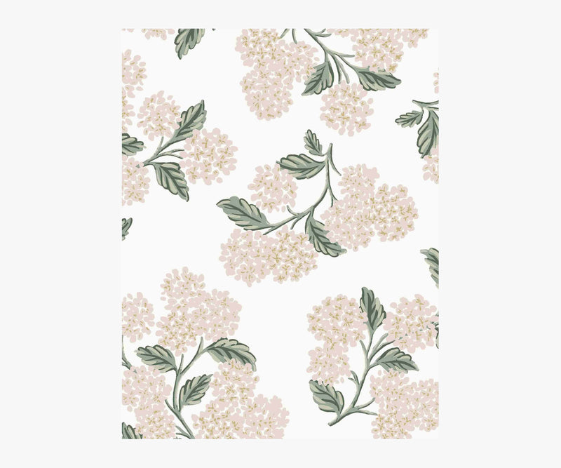 Tracy & Co Hydrangea Wallpaper Sample - White & Blush