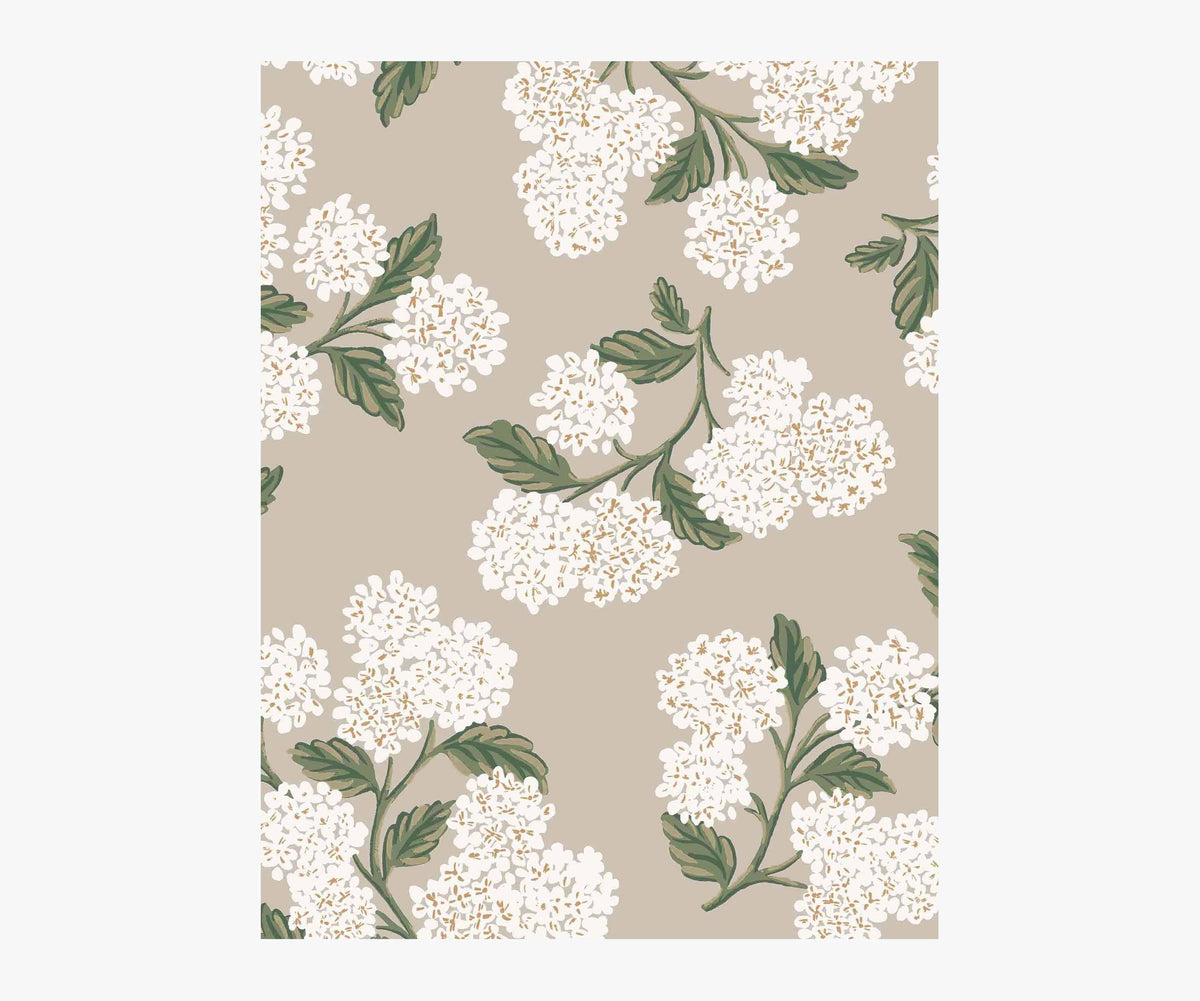 Tracy & Co Hydrangea Wallpaper Sample - Linen