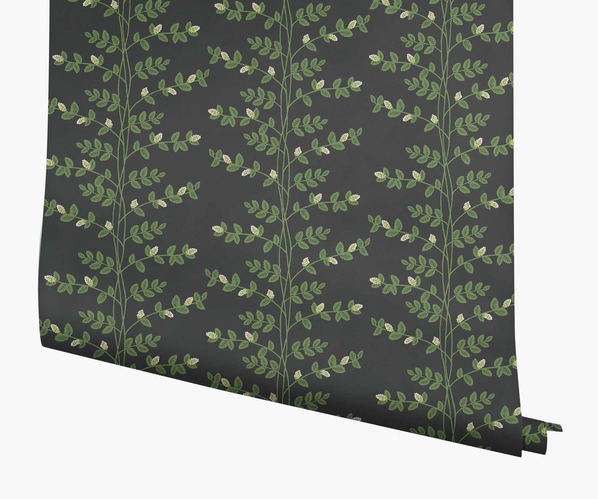 Tracy & Co Climbing Vines Wallpaper - Black