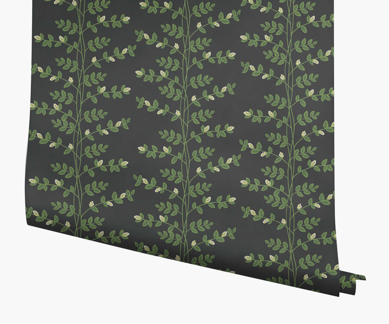 Tracy & Co Climbing Vines Wallpaper - Black