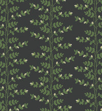 Tracy & Co Climbing Vines Wallpaper - Black