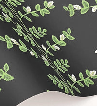Tracy & Co Climbing Vines Wallpaper - Black