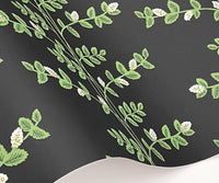 Tracy & Co Climbing Vines Wallpaper Sample - Black