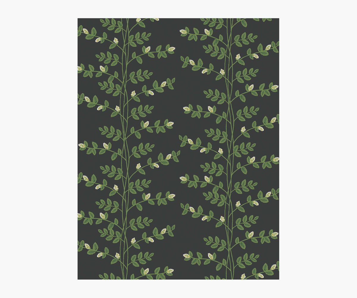 Tracy & Co Climbing Vines Wallpaper Sample - Black