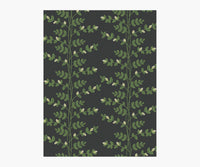 Tracy & Co Climbing Vines Wallpaper Sample - Black