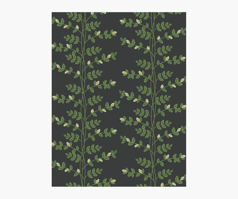 Tracy & Co Climbing Vines Wallpaper Sample - Black