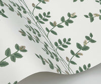Tracy & Co Climbing Vines Wallpaper Sample - White & Metallic Gold